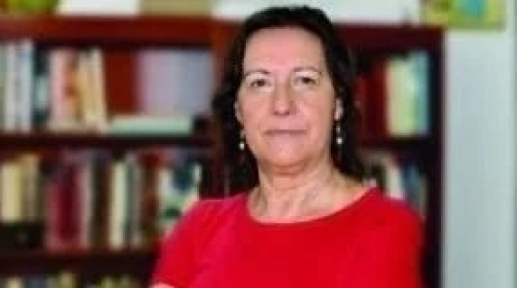 Ligia Bahia, professora e pesquisadora 