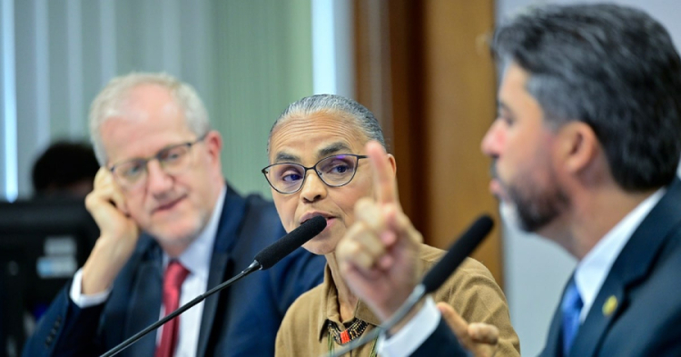 Ministra foi atacada por senadores que apoiam destruição do meio ambiente 